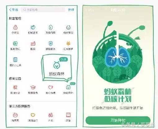 支付寶小樹怎么樣了