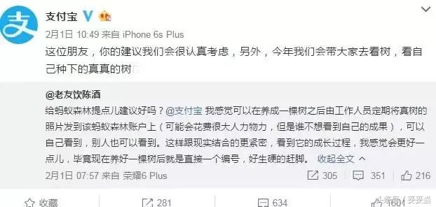 支付寶小樹怎么樣了