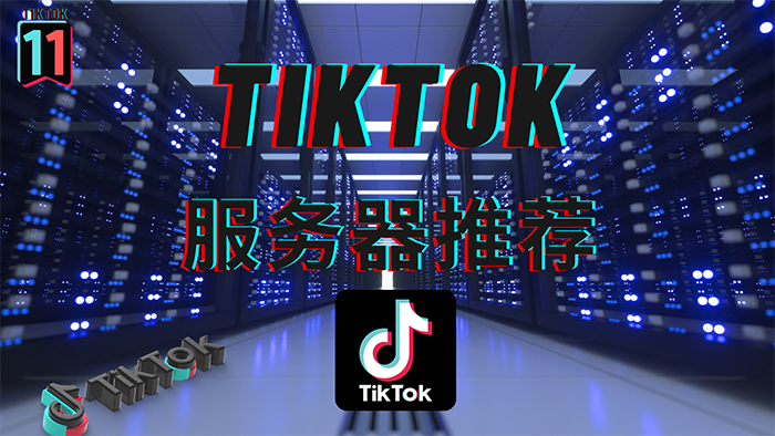 搭建自己的專屬獨(dú)享TikTok節(jié)點(diǎn)哪家好